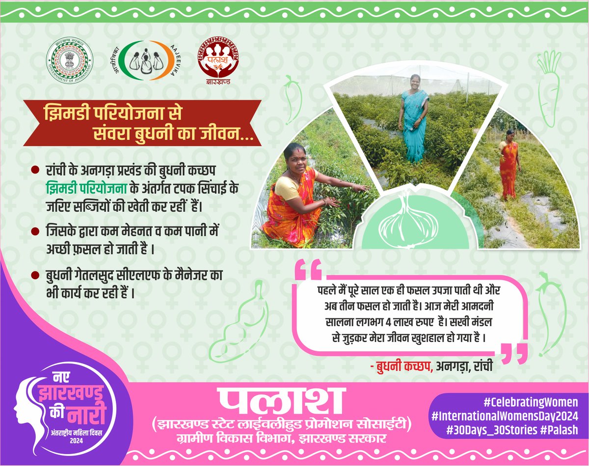 onlineJSLPS's tweet photo. रांची के अनगड़ा प्रखंड की बुधनी कच्छप #JHIMDI परियोजना अंतर्गत टपक सिंचाई के माध्यम से खेती को नया आयाम दे रही है। बारिश पर निर्भरता कम होने से वह सालों भर खेती कर तीन फसल उपजाकर, अच्छी आमदनी कर रहीं है।
#CelebratingWomen
#InternationalWomensDay2024
#30Days_30Stories
#Palash https://t.co/bzBaoV8p1d