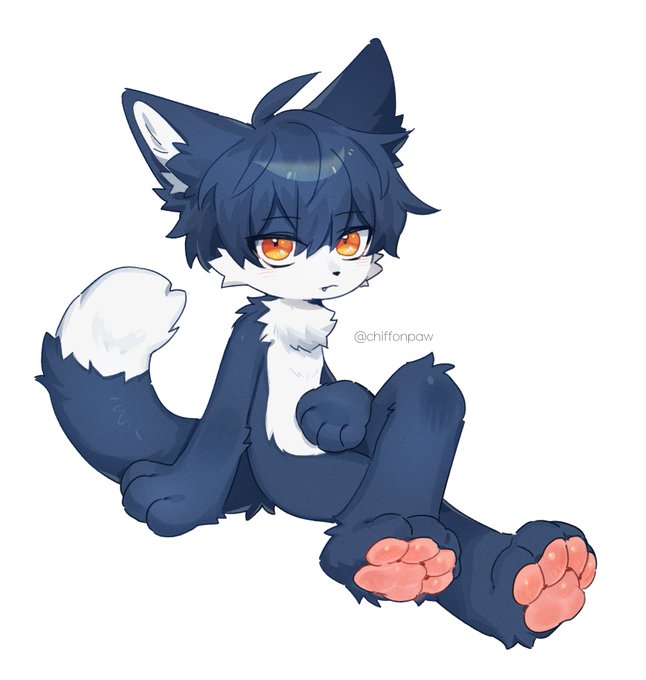 「sitting wolf boy」 illustration images(Latest)