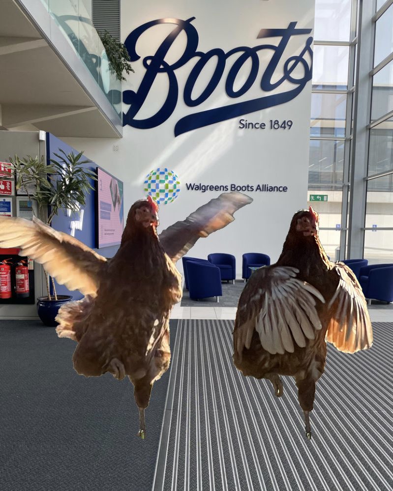 Don’t worry <a href="/BootsUK/">Boots</a> , I can lend you some security if it gets too busy around the “I am leaving Boots” selfie spot.

5 days a week in the office is a killer 🐔

#fmcg #hiring #chickens #culture