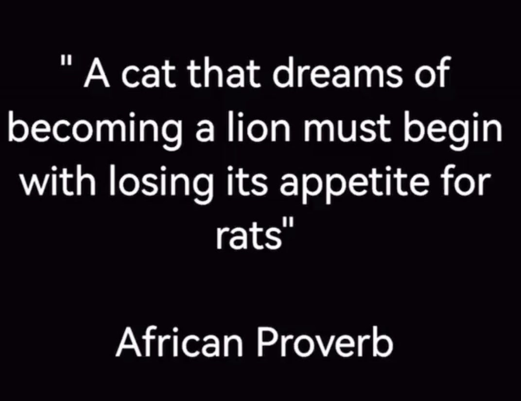 A cat that dreams of becoming a lion, must first begin by losing its appetite for rats….

Remembering a fearless visionary leader today @HerbertOWigwe