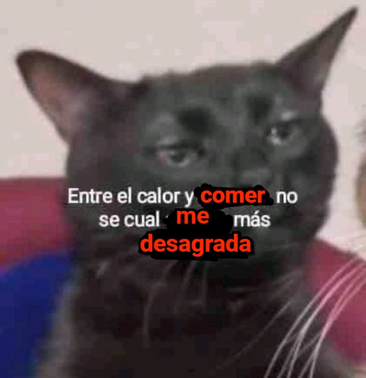 Nochu0999 (@ayunolover069) on Twitter photo 