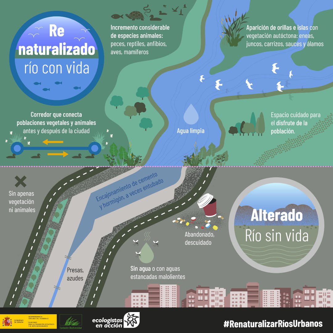 El interés ambiental de la renaturalización de tramos urbanos de los ríos siempre es muy grande. Se trata de pasar cursos de agua prácticamente carentes de vida, a ríos con sus bosques de ribera y la rica fauna que suele ir asociada a esos ecosistemas fluviales.