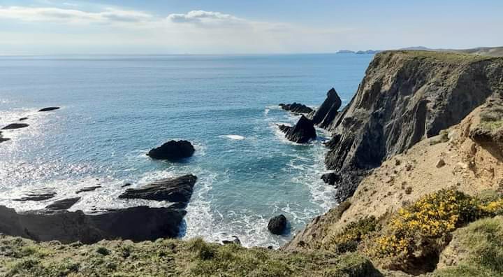 Back on the coastpath in early spring 🌊🌅🌿🌤