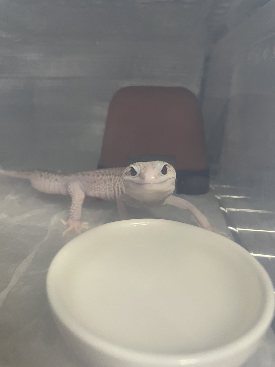 さーびすしょっと