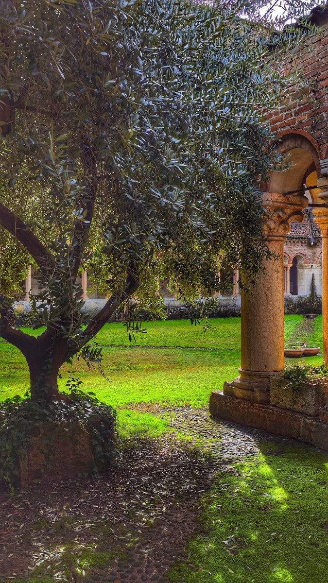 ✨Starling Asmr✨ tweet media