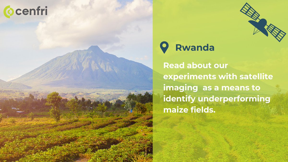 In partnership with Rwanda Space Agency, we leveraged Earth Observation tech to boost agriculture policy. Analyzing satellite images helped pinpoint underperforming maize fields, a step towards smart agriculture with @MastercardFdn & MINICT. Read here: lnkd.in/dp2BCM2v