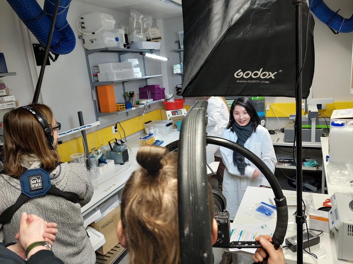 Kaisu Koivumäki (Innanen) tweet media