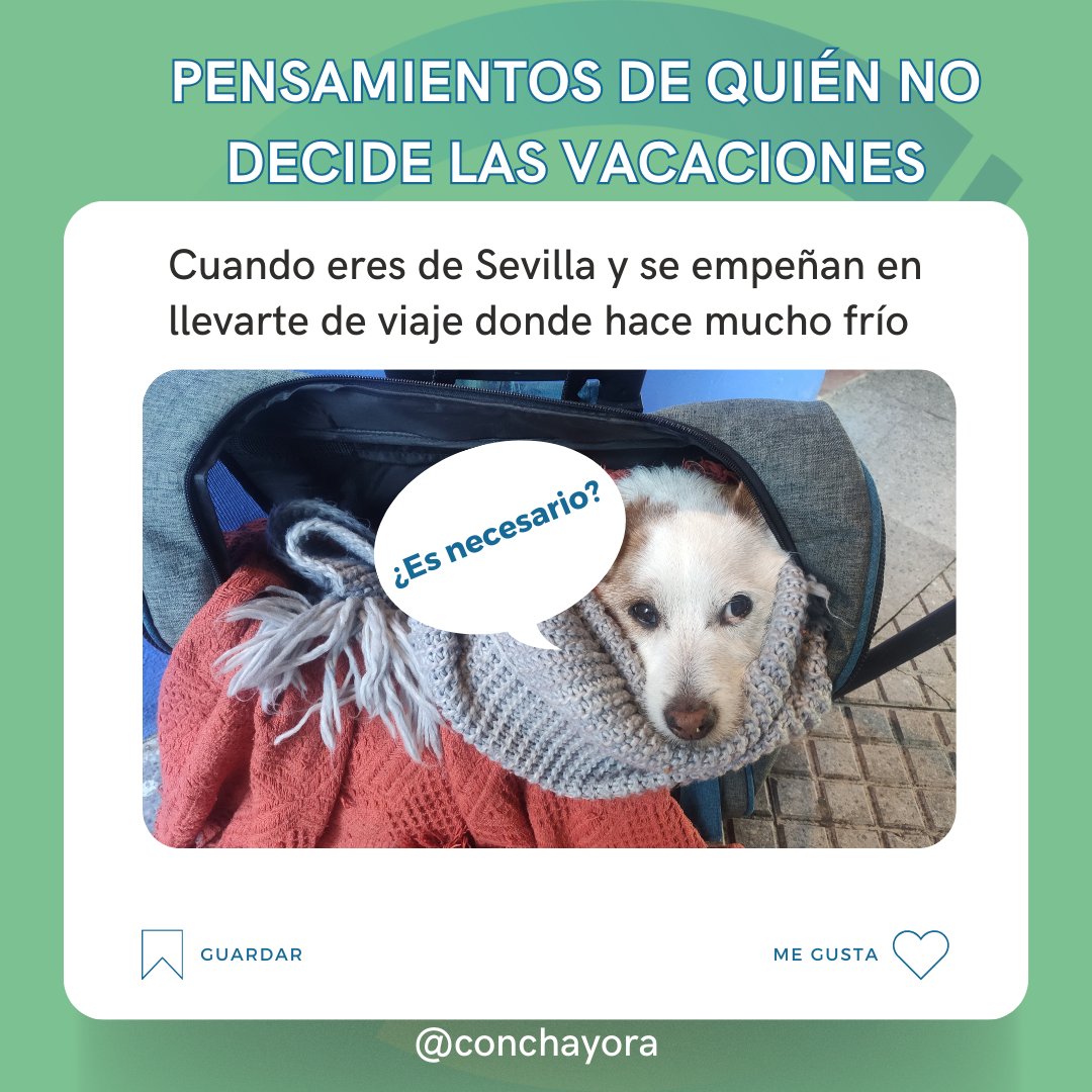Cuando me voy de viaje, mi perro, Grissom, siempre es el primero en ponerse junto a la maleta, pero...🐶☃️

¿Qué ocurre cuando hace muuucho frío?  ¿Te ha pasado alguna vez? Te leo

#marketingturistico #marketingdeviajes #viajes #humor #meme #memes  #pet #memeperro #mascotas
