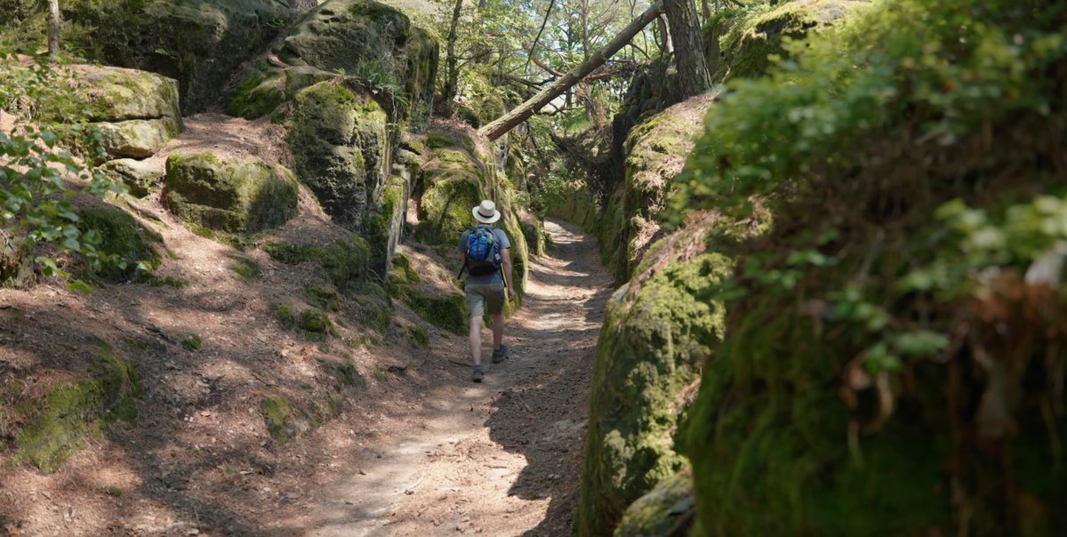 Proč chodíme do přírody? 🏞️ Většinou je to proto, abychom: 😎 se zrelaxovali 🚵 si zasportovali 🧑‍🔬 se něco naučili 🎨 se inspirovali Zároveň má krajina vliv na to, kým jsme, ovlivňovala i naši historii a tradice 🐣🐇 a je součástí naší kultury. ⤵️ youtu.be/yFw0iVDrGwg