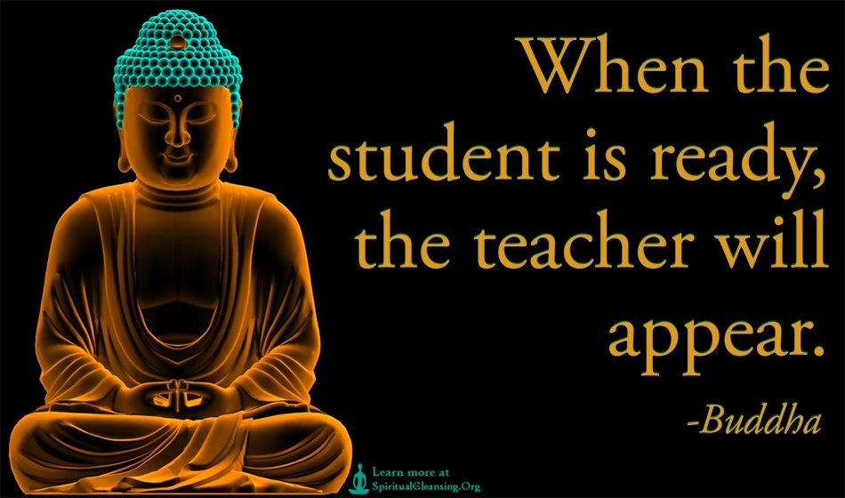 My mother often says ' Teachers are like Alchemists, just much more generous', for they even empower their disciples to be a teacher to others as well.
Lately, @naturiousoul you have been the Buddha in my quest for enlightenment. Thank you and forever grateful!!