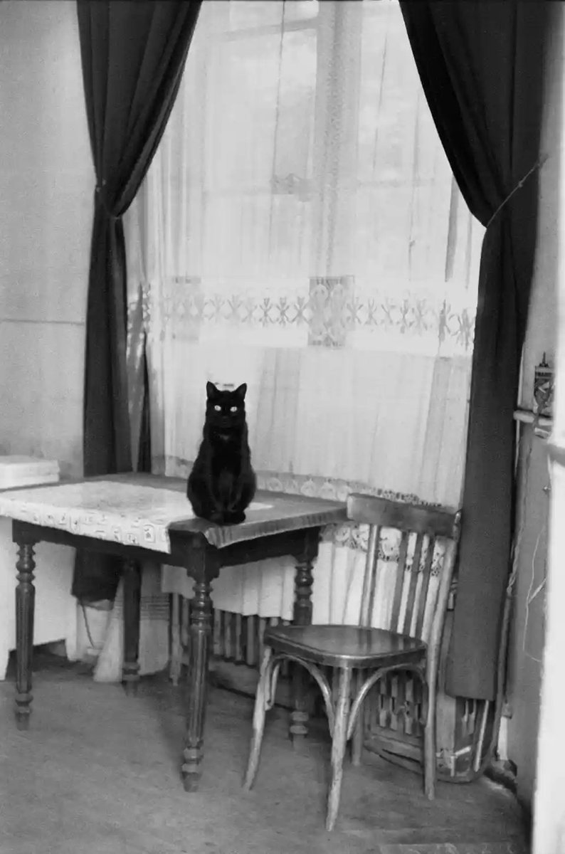 ParisAMDParis's tweet image. Bonjour. ☕️🥖☺️

Henri Cartier-Bresson. 
Le chat noir sur la table 
1953. Paris