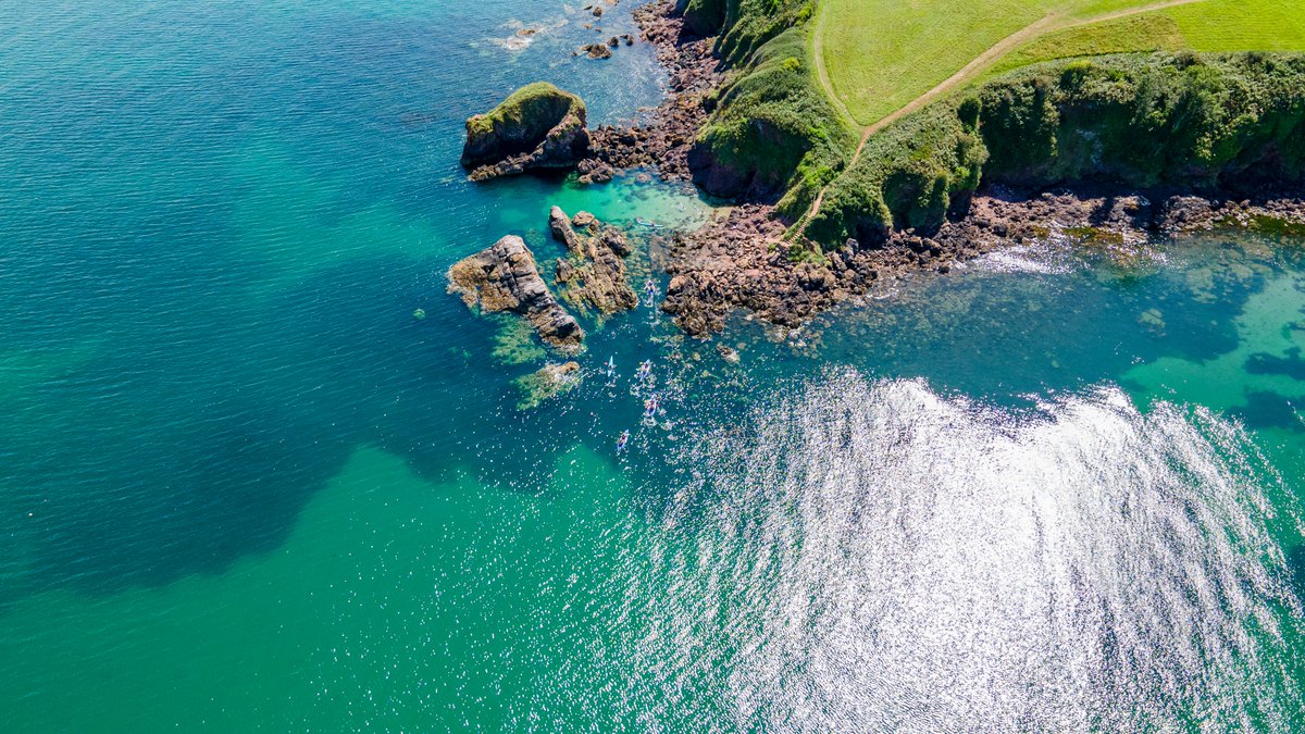 Did you know the English Riviera Geopark has 6 sea grass beds, covering around 380 hectares within the bay. 

Photo Credit: @