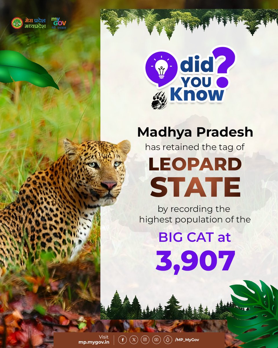 MP_MyGov's tweet photo. #DidYouKnow ?
Madhya Pradesh has retained the tag of 'Leopard State' by recording the highest population of the Big Cat 🐆 at 3,907
#LeopardState #MadhyaPradesh #BigCats https://t.co/GoXwXIPGT9