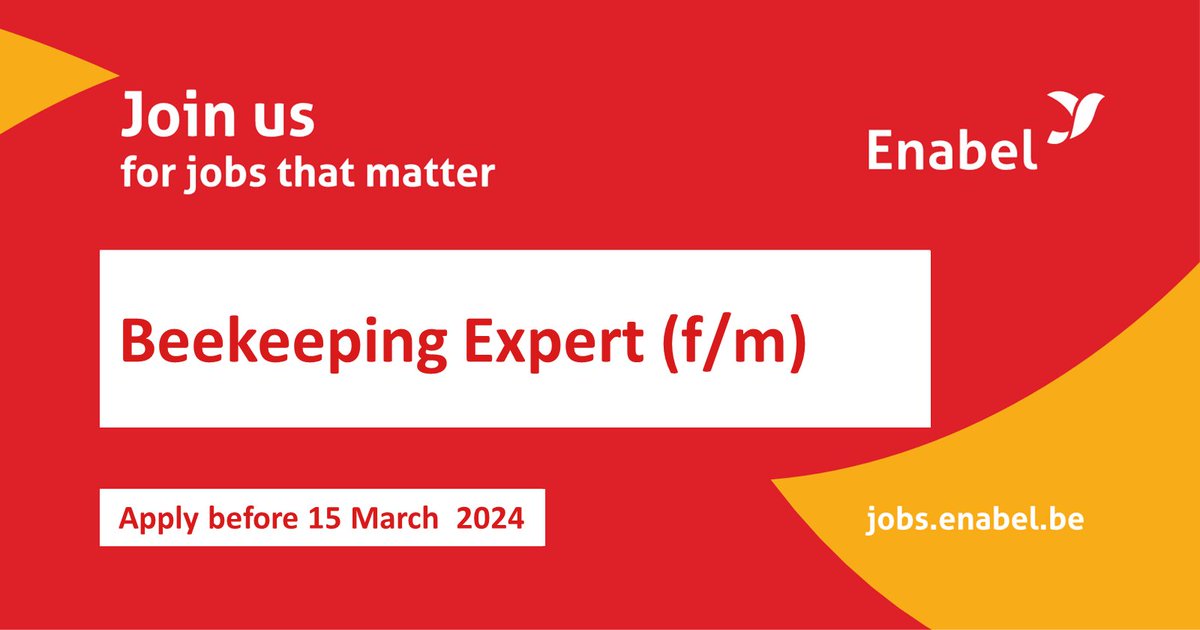 📢Opportunity Alert! #RwOT #RwOX 

Have a passion for bees🐝 and sustainability?
Join Enabel in Rwanda as a Beekeeping Expert and explore your dream job!

🗓️Don't miss out, apply by March 15, 2024. 
Details and application: jobs.enabel.be/job/Kigali-Bee… 

#EnablingChange #ActForImpact