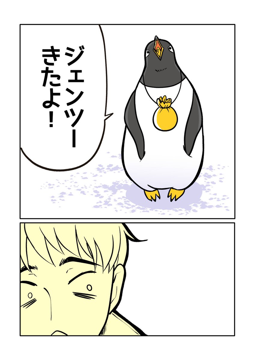 長めの連勤術師とペンギンのクッキーやさん🍪🐧
(1/2)

#ジェンツーきたよ 