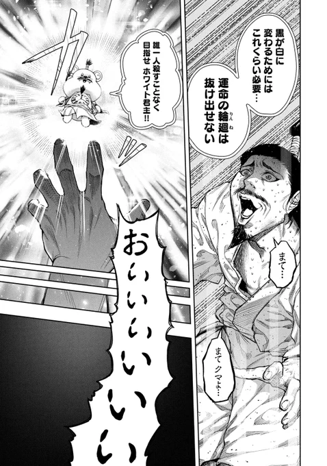 (6/6) 