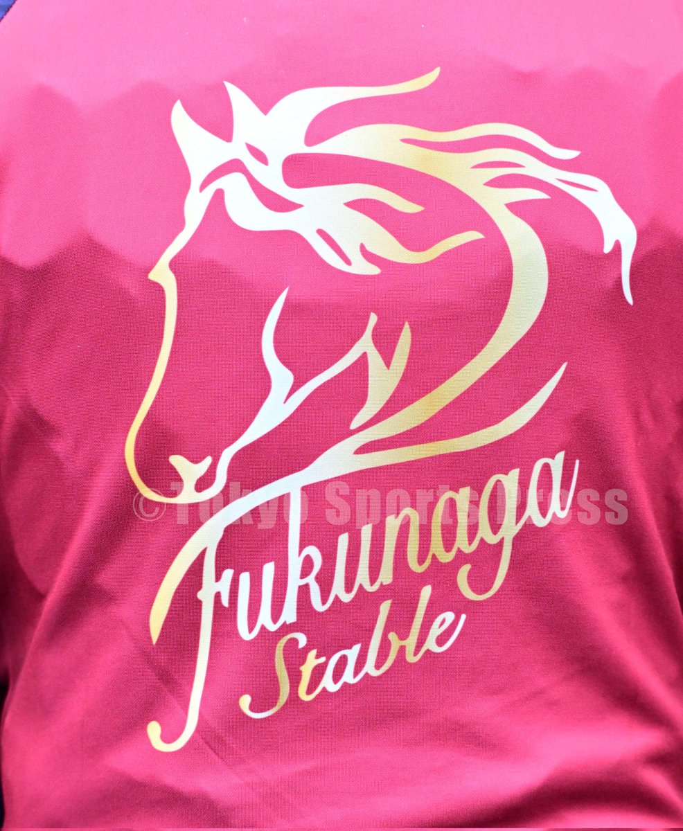 【お値下げ】福永祐一さん ご本人私物 着用後 背中にサイン入りDESCENTE お値下げ】福永祐一さん ご本人私物 着用後 背中にサイン入り