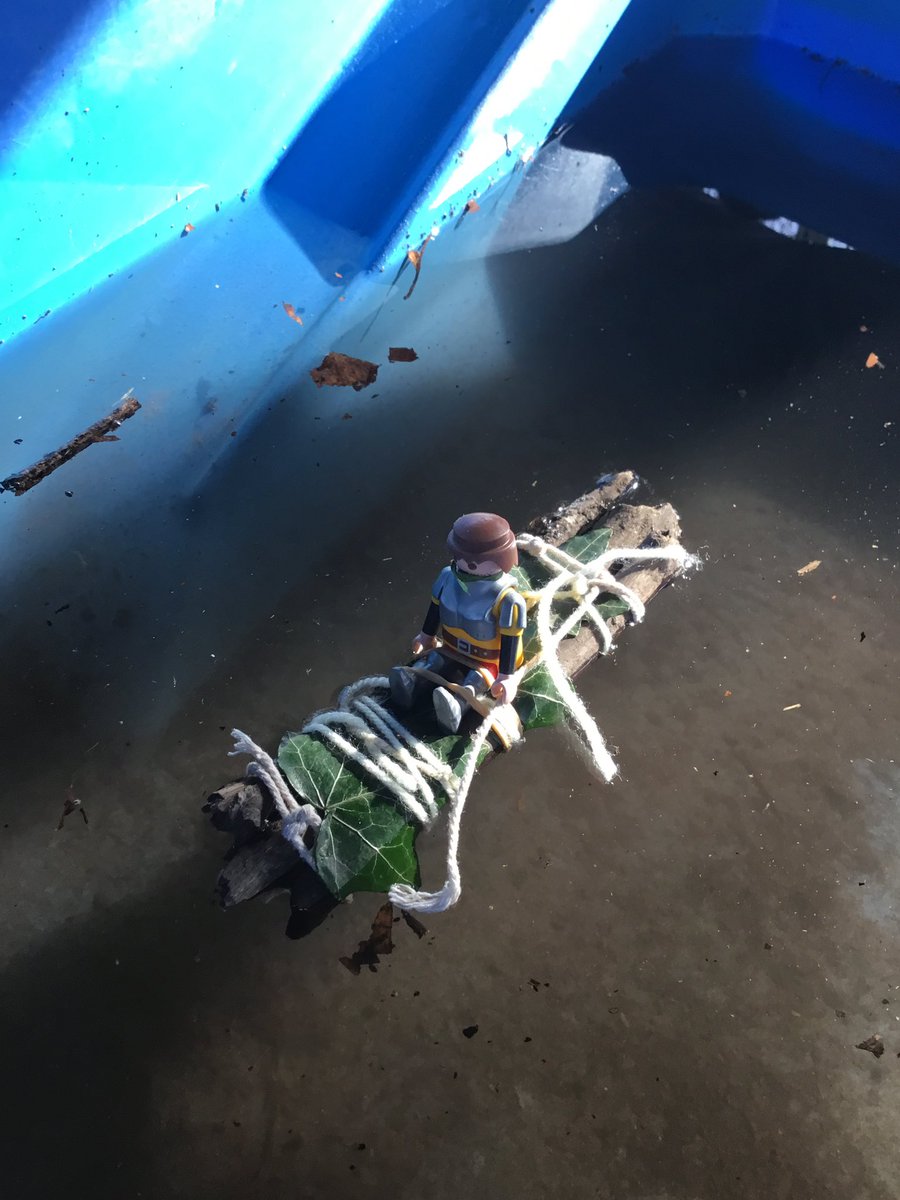 Forest School ACE tweet media