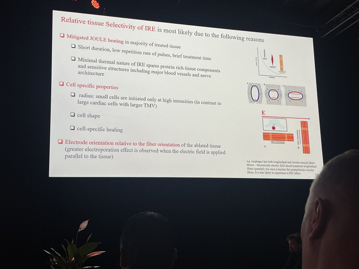 Insightful deep dive into the biophysics of #pulsedfieldablation and how to get the “recipe” right!

#AFib2024
#AFibBackstage 🎤🎥