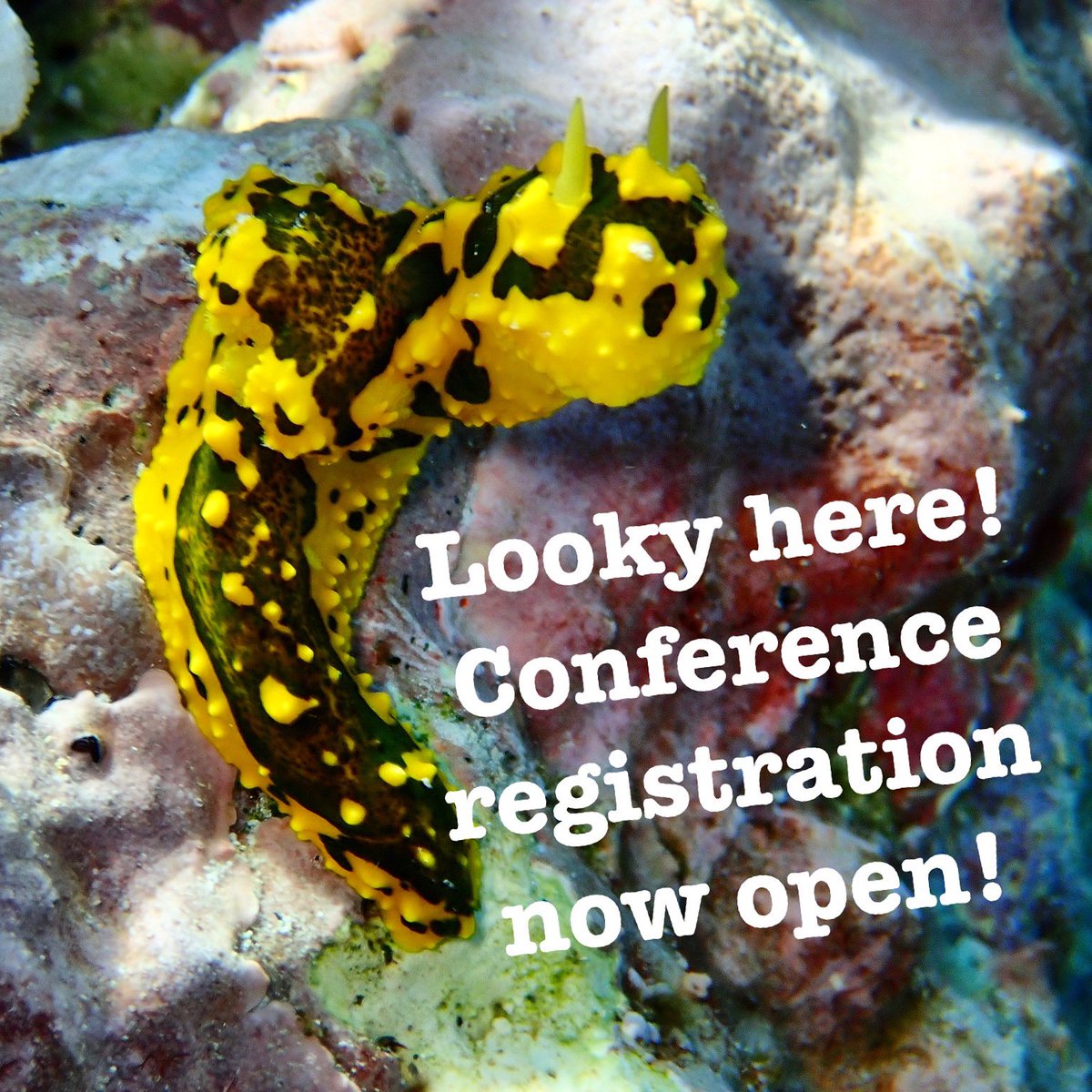 👀 Conference registration is NOW OPEN! 👀 There are 2 workshops & 3 museum tours on May 6. Get in quick as spots are limited! Check out preliminary agenda and accomm options on website! And keep your eyes peeled for abstract outcomes coming this week! 👀 📸 @TaniaKenyon