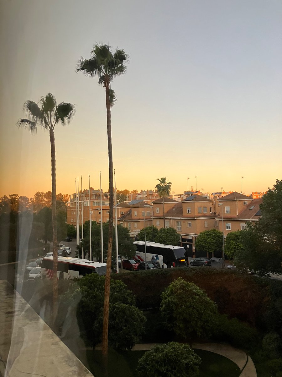 ICES sister Working Groups on invasive species (BOSV and ITMO) today our common day in Sevilla