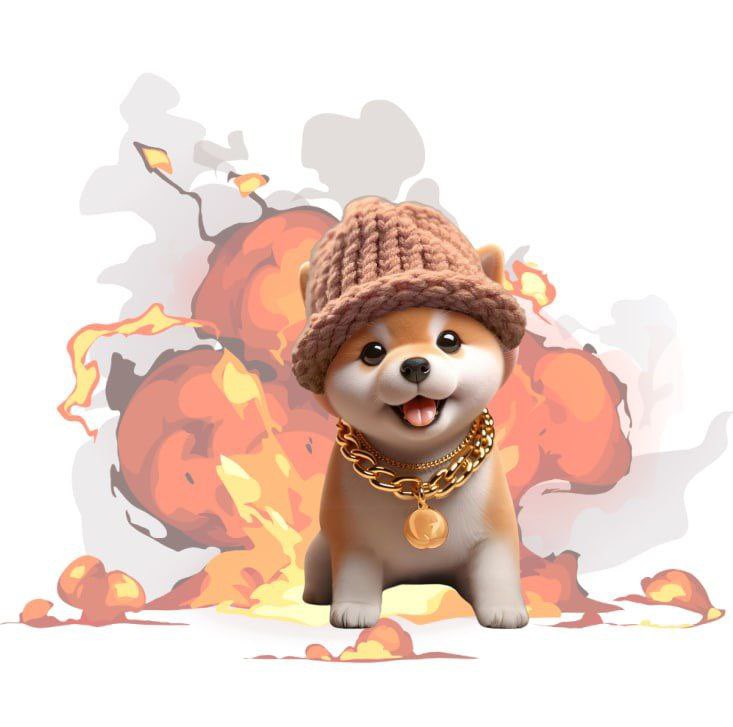 Sammythebull69's tweet image. $bwif baby $wif 100k mcap right now, be smart you know what to do!