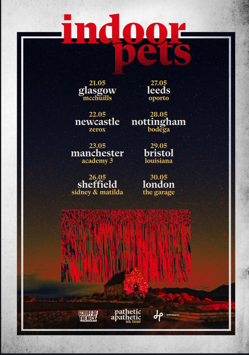 Lewis Cato tweet media