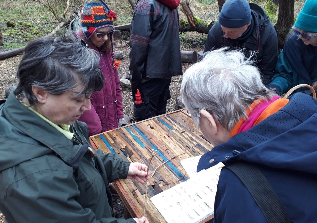 Last week we held a Winter Warmer session for our #dementia #wellbeing group at @lwcommunityfarm💚 We explored Watervole Woodland, spotting budding #trees and created ink pictures using natural brushes from pussy willow, moss and alder catkins!🖌️ @BristolDWS #healthandwellbeing