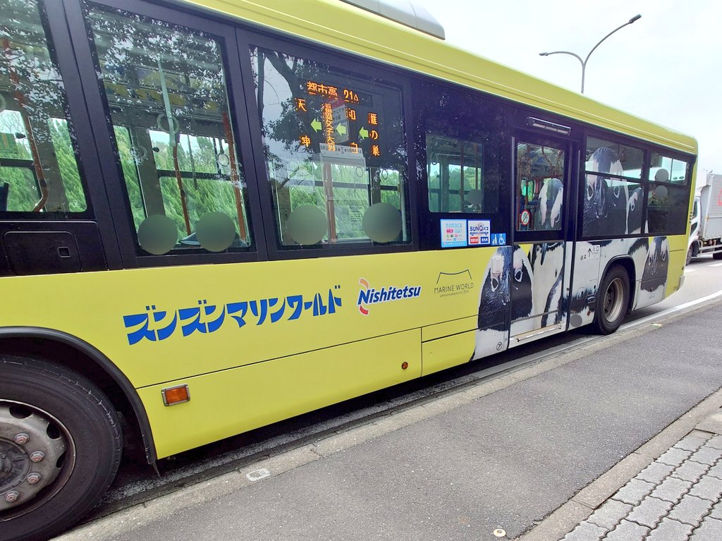 ラッピングバス 走行中🚌🚌🚌 ＼ ケープペンギンでラッピングされた