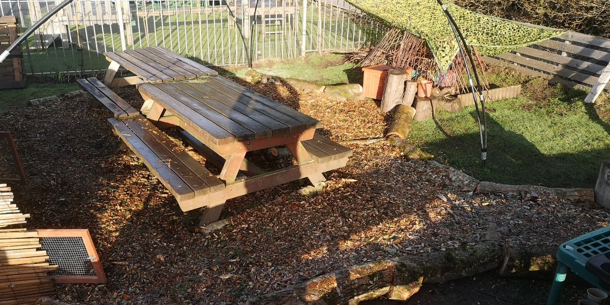 Our new path is finished! #petarea  A huge thank you to all the Foundation Phase children for helping to transport all the wood chippings!