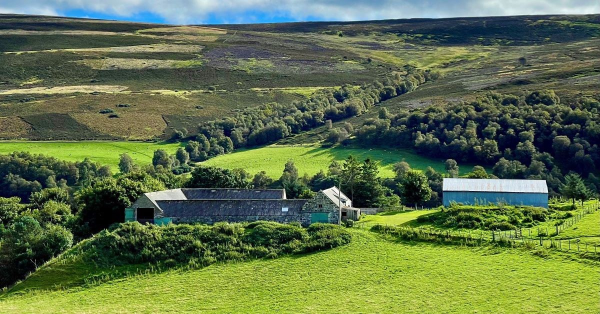 #TheCabrach: the birthplace of malt whisky? 

Whisky production could return to the remote parish which claims to be the birthplace of Scotland's national drink.

👉 t.ly/lcDp7
@CabrachTrust