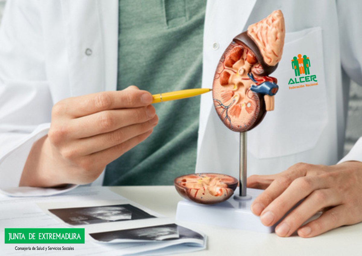 La enfermedad renal no debe ser un obstáculo para recibir atención sanitaria de calidad. Aboguemos por 𝗹𝗮 𝗶𝗴𝘂𝗮𝗹𝗱𝗮𝗱 𝗲𝗻 𝗲𝗹 𝗮𝗰𝗰𝗲𝘀𝗼 𝗮 𝗹𝗮 𝗮𝘁𝗲𝗻𝗰𝗶𝗼́𝗻 𝘀𝗮𝗻𝗶𝘁𝗮𝗿𝗶𝗮 a todas las personas con enfermedades renales. #DiaMundialdelRión #SaludRenalParaTodos