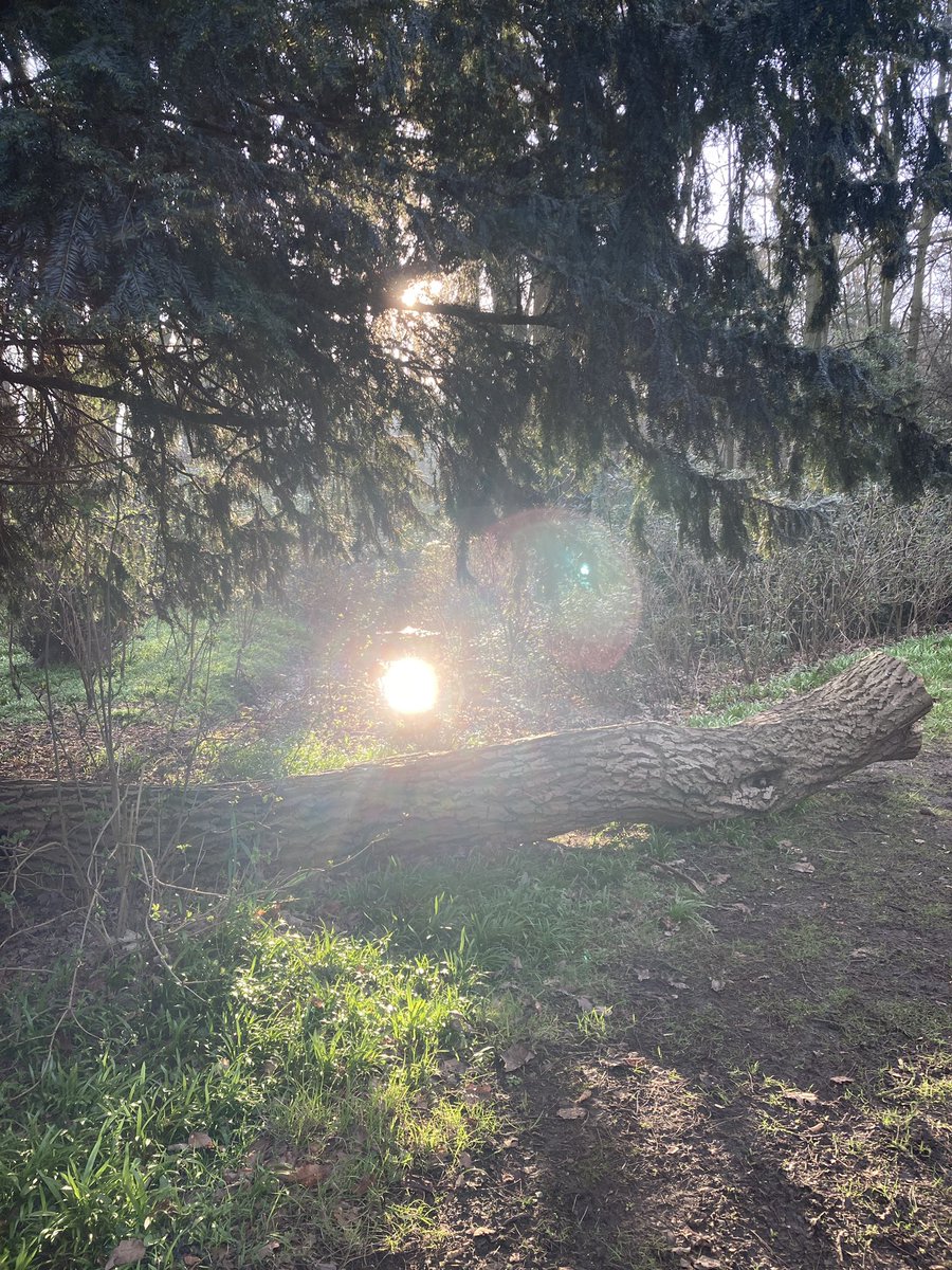 It’s a beautiful morning and our campus is looking lovely. You might almost say it looks like spring but let’s say that very quietly just in case…