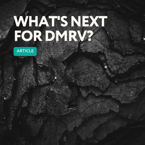 DMRV is needed for carbon markets to scale up and contribute substantially to climate efforts. Nadine Planzer shares insights from the carbon market, and what’s in store for DMRV in 2024 in our newest blog. Read here bit.ly/3Toh3Om #dmrv #digitalverification