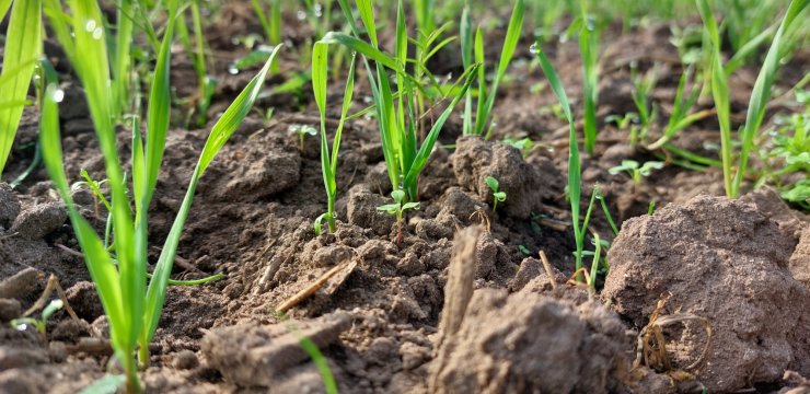 In het theatercollega 'De bodem leeft' bespreken Liesje Mommers en Josephine Schuurman waarom een divers bodemleven onmisbaar is en nemen zij een kijkje op de boerderij, waar we teruggaan naar de basis van ons voedselsysteem. Koop jouw kaarten (€5) via ➡figi.nl/theater/agenda…