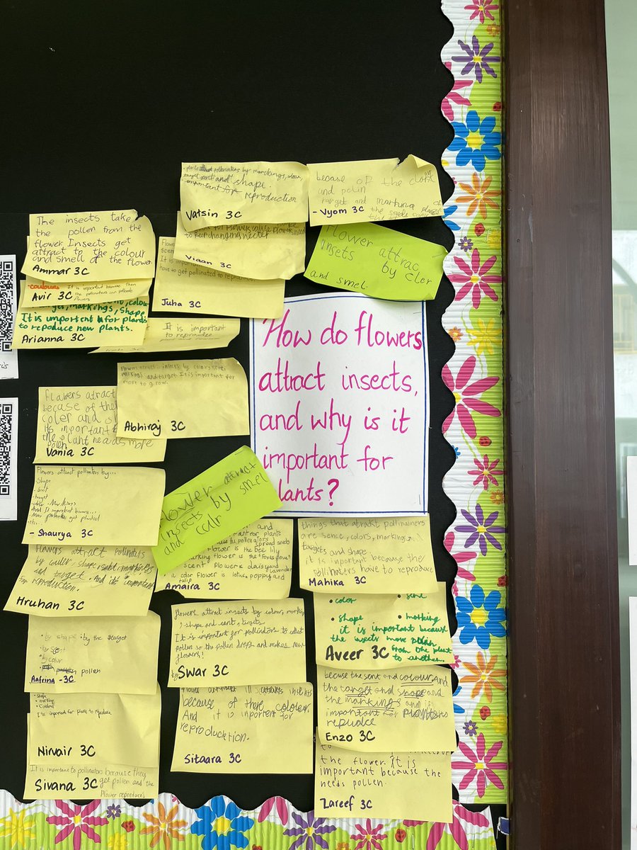 Having recently completed a unit on plants, 3C students were eager to share their learning on pollinators with year 1! Woohoo to cross phase!