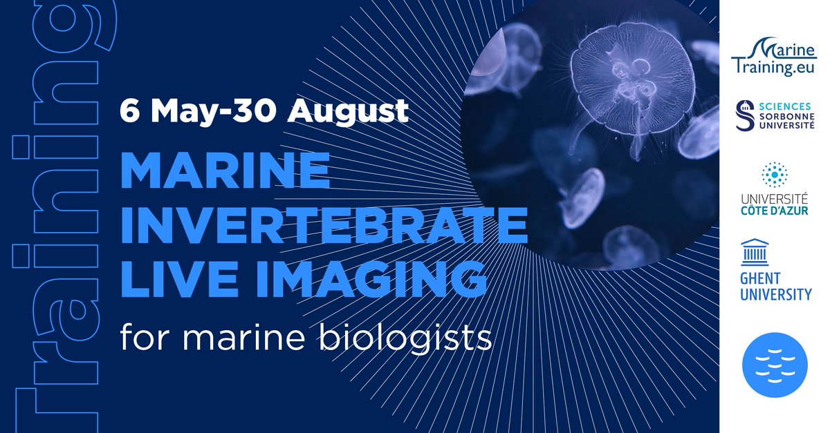 #Training2024 I 👉 Join EMBRC’s #MarineInverterbrate #LiveImaging training ➡️ PhD & post PhD (bio science) ➡️ Hands-on imaging ➡️ Live marine invertebrates 📅 6 May-30 Aug 📍 Remote & @LovLabo, France 👉 tinyurl.com/y8uywmyn @ugent @sorbonne_univ_ @univ_CotedAzur