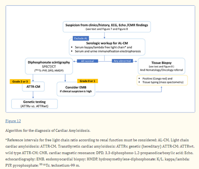 cardiomet_CE's tweet image. 19e) #EMBfor
1⃣ high clin suspicion of cardiac amyloidosis in a pt with a monoclonal protein by #IFE &amp;amp;/or an abnormal #sFLC K/L ratio
2⃣ high clinical suspicion despite negative or equivocal #scintigraphy
3⃣ cardiac scintigraphy is unavailable

So overall: