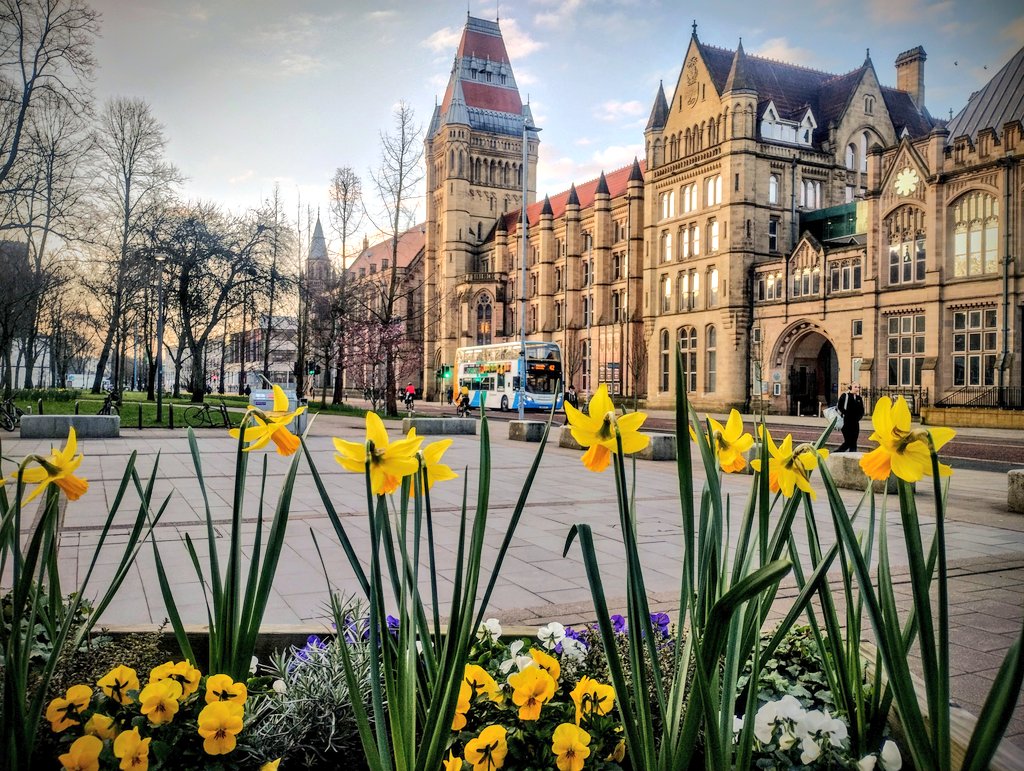 Today is 'poster-day' in @UoM_MACE @UoMSciEng, I'm on campus bright and early and looking forward to presentations by my undergraduate students on @IPAProjectX themes.