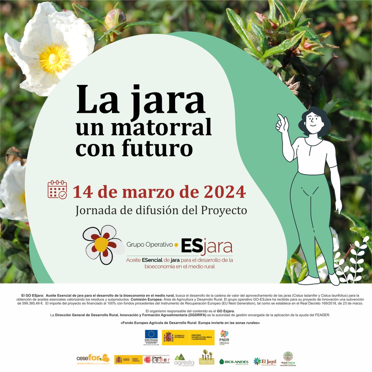 ¿Quieres conocer las posibilidades que ofrece el aprovechamiento de la #jara? Te lo contamos en la 1ª Jornada Técnica del proyecto, que se celebra en #Zamora el 14 de marzo.
📽️youtube.com/watch?v=RtHYXH…
#bioeconomia #jara #desarrollorural #aceitesesenciales