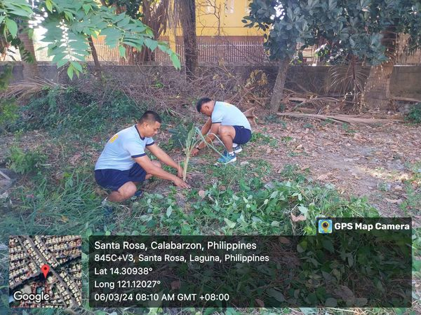 Starosa_Police's tweet photo. On March 6, 2024 at about 8:01 AM Sector 2 personnel under the supervision of PLTCOL DWIGHT F FONTE JR, Chief of Police, conducted Tree planting at Garden Villas 3, Brgy. Ibaba, City of Santa Rosa Laguna. https://t.co/x24iokEl1t