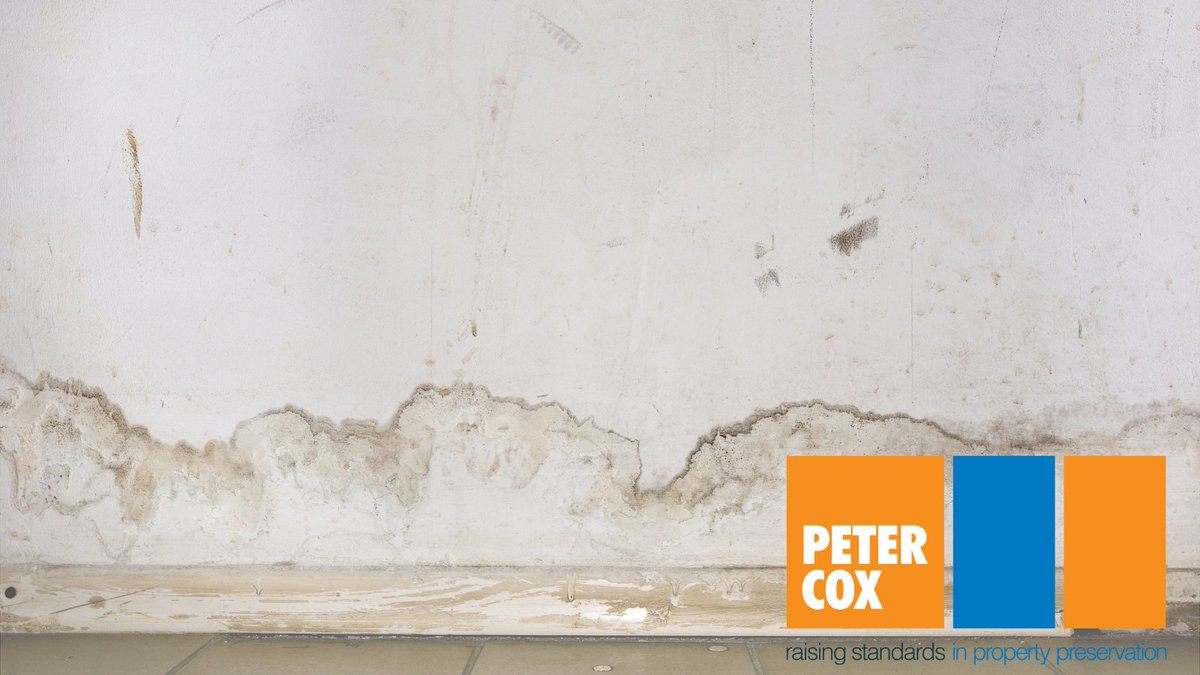 petercox1951's tweet photo. Understanding the cause of your damp walls is key to identifying the correct form of treatment you require to resolve the problem.

Learn some of the most common causes of damp on walls:https://t.co/oL2CDm6Z7B

#dampwalls #damp https://t.co/rWhMqHLNP5