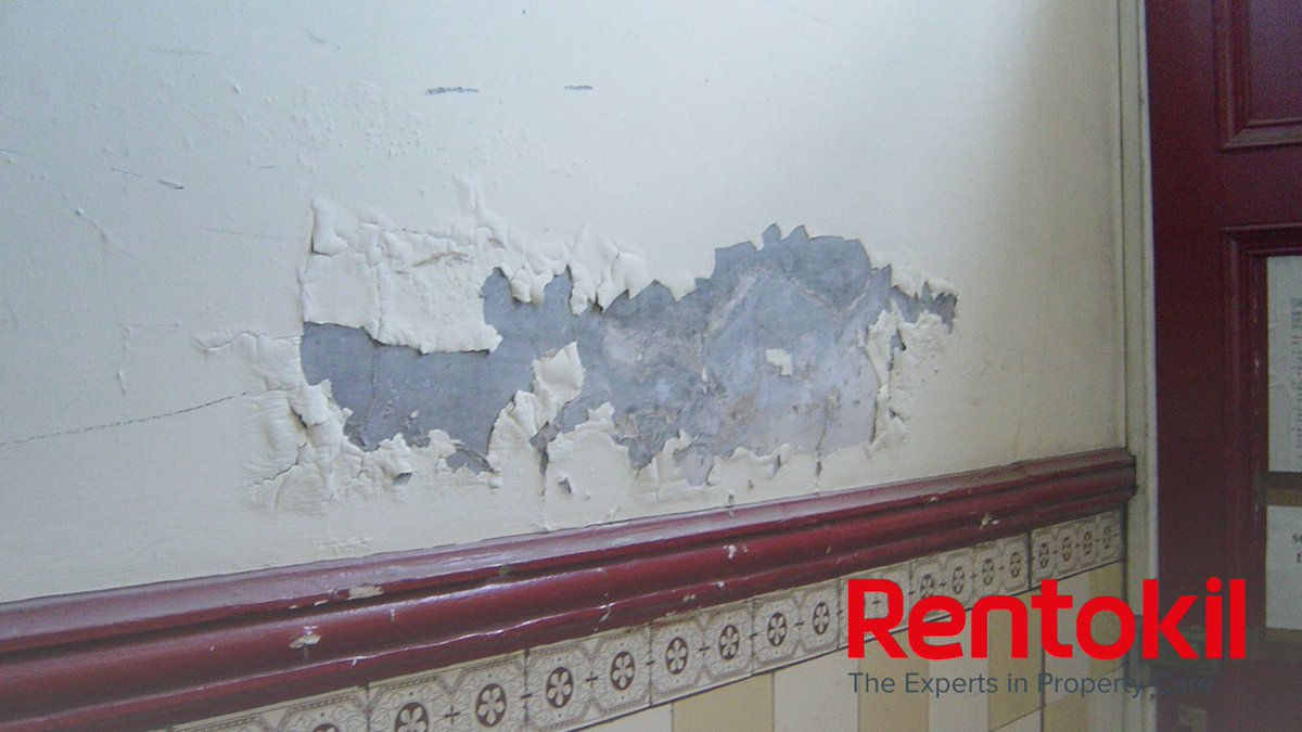 What are the signs of damp?

They vary, depending on the type of damp affecting your property. In this guide we will show you the different signs of damp, the simple steps you can take to prevent it and when to consider professional treatment.

rentokil.co.uk/damp-proofing/…
#damp