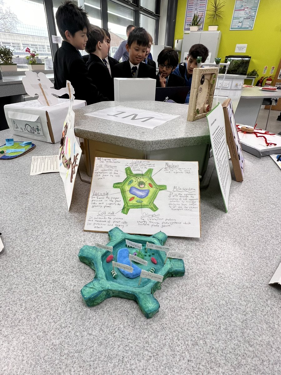 TrinityCroydon's tweet photo. Congratulations to all First-Year students who put a lot of effort into creating their individual models of a cell for this year’s Junior Science Cell Model Competition. Read more: https://t.co/rIzvjux76u
#TrinityScience https://t.co/L7BFrWrzeq
