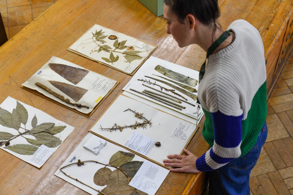 JOB: Join our largest ever project and help us digitise our entire collection of 8m herbarium and fungarium specimens. We're looking for an experienced Quality Assurance Officer to perform quality checks on imaged specimens 🌿 👉 ow.ly/g0N350QKJRx 📆 Closing: 10 March