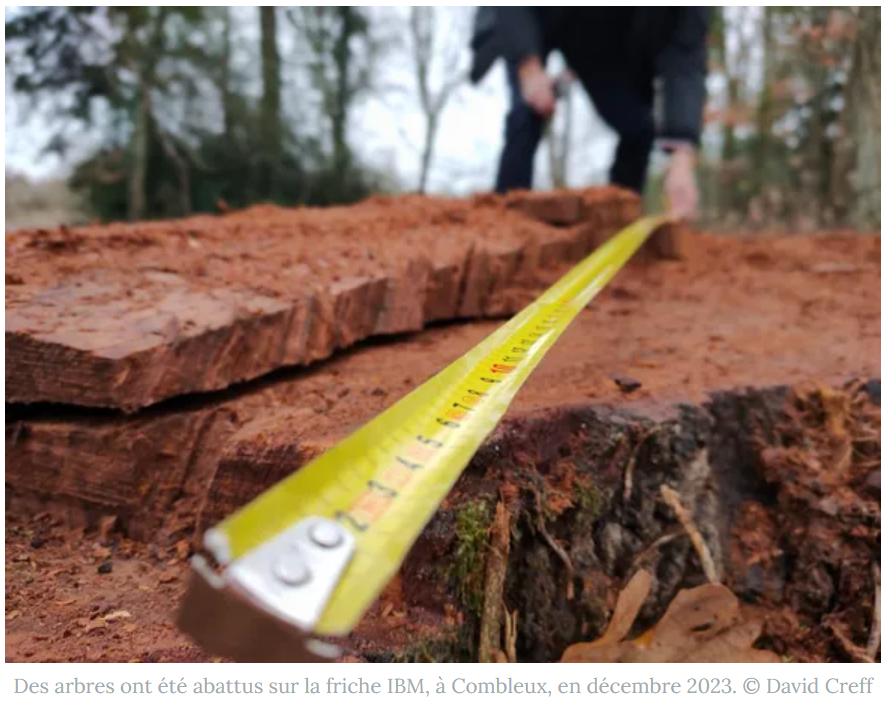 Après l'abattage d'arbres à Combleux en décembre 2023, en pleine enquête environnementale, un lecteur de la République du Centre exprime son mécontentement face à l'urbanisation croissante d'Orléans jusqu'à Combleux : 'Le paysage des bords de Loire est en danger'