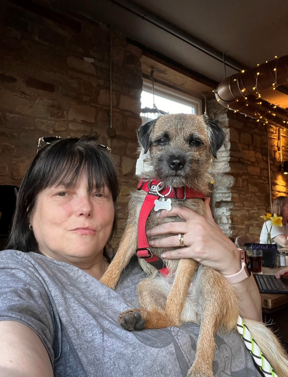 As a self-employed legal recruiter, I know how isolating the job can be. That's why I recruited my trusty companion, Matilda from Marketing! Matilda doubles as my office dog and ensures I get some fresh air and exercise every day. Plus, Matilda's great on social media!