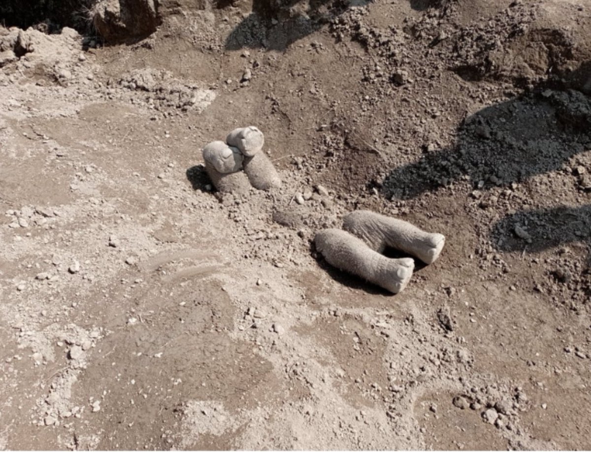 Asian elephants observed for the first time carrying dead calves and partially "burying" carcasses. Lots to investigate and think about here <a href="/pili_scotland/">Phyllis C. Lee 🐀💚</a> and <a href="/MMartinonT/">María Martinón-Torres</a> 
threatenedtaxa.org/index.php/JoTT…