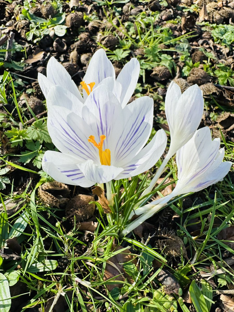 LuckyASSETS's tweet photo. 🌦️🌸 Don’t be “most people”.
– Robert Kiyosaki
Happy Wednesday Everyone 🥰#wednsdaymorning https://t.co/FrJDwXFtd7
