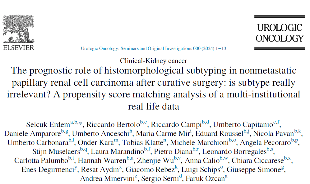 Check visual abstract of our last article on subtypes in papRCC @Selcuk__Erdem @RicBertolo @Ric_Campi @u_capitanio @danieleamparore @carme_mir1 @Eduardrssl @Nicp85Pavan @Umbe_Carbonara @ondrkara @Dr_Klatte @marchionimic @AngelaPecoraro3 @LeoBorregalesMD @CPalumbo87 @EAUYAUrology